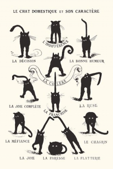 Vintage French Poster Le Chat [the Cat]